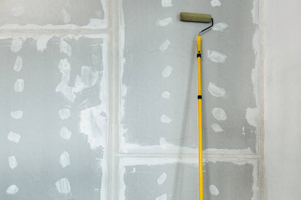 Best Mold Remediation for Healthcare Facilities  in White Oak, MD