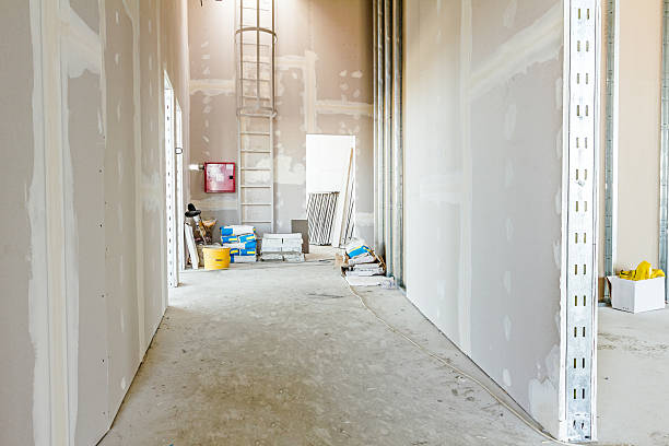 Best Mold Prevention Services  in White Oak, MD