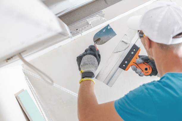 Best Air Quality Testing for Mold Spores  in White Oak, MD